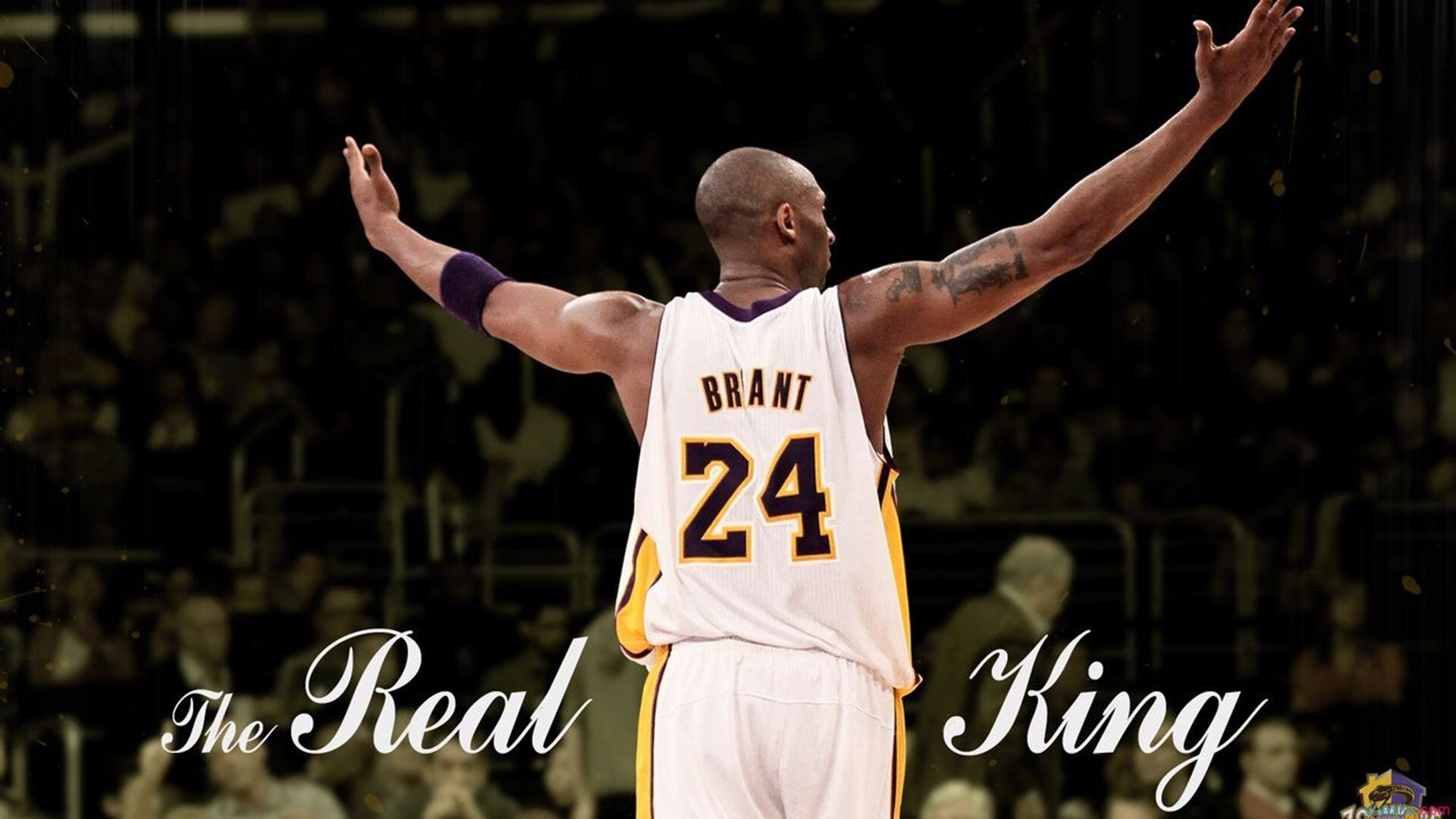 体育心理干预在青少年训练中的应用,体育训练种心理问题案例