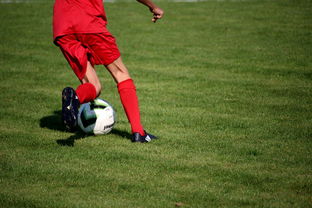 米兰体育app官网入口-篮球运动员心理健康服务体系研究，篮球运动员心理健康服务体系研究论文